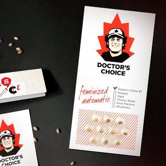 Doctor's Choice 1 Auto (Doctor's Choice) femminizzata