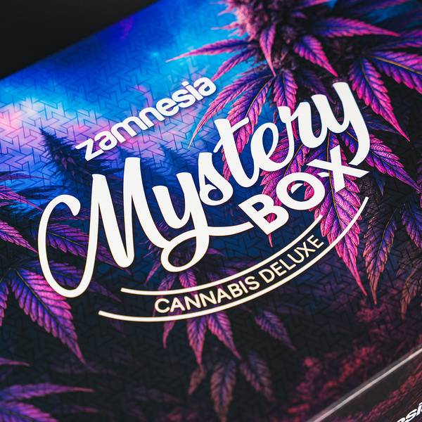 Cannabis Mystery Box (Zamnesia)