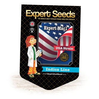 Expert Mac1 (Expert Seeds) femminizzata