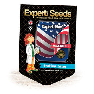 Expert Mac1 (Expert Seeds) femminizzata