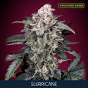 Slurricane (Advanced Seeds) femminizzata