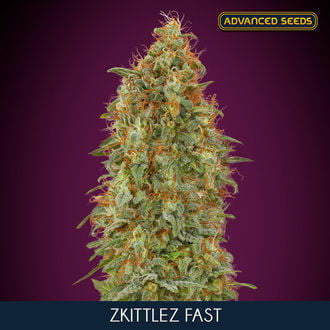 Zkittlez Fast (Advanced Seeds) femminizzata