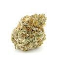Forbidden Runtz XL Auto (Growers Choice) femminizzata