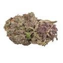 Ultra Violet GMO (Growers Choice) femminizzata