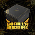 Gorilla Wedding (BSF Seeds x Zamnesia Seeds) femminizzata