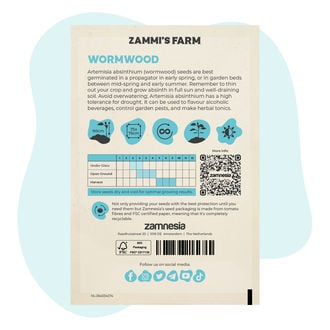 Semi di Assenzio (Artemisia absinthium)