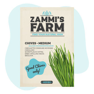 Erba cipollina 'Medio Fine' (Allium schoenoprasum)