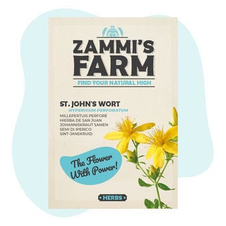 Semi di iperico (Hypericum perforatum)