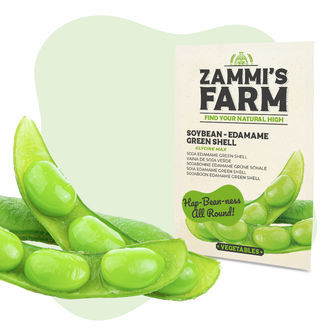 Semi di soia Edamame Green Shell (Glycine max)