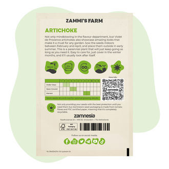 Semi di carciofo Violet de Provence (Cynara Scolymus)