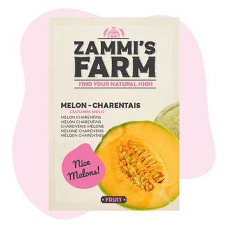 Semi di melone 'Charentais' (Cucumis melo)