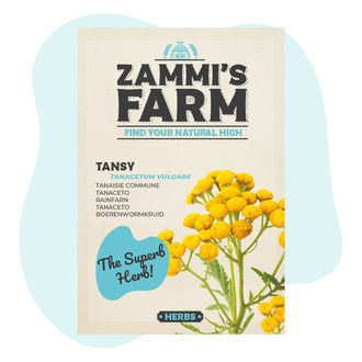 Semi di Tanaceto (Tanacetum vulgare)