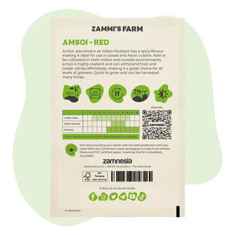 Semi di Amsoi Rossa (Brassica juncea var.rugosa)