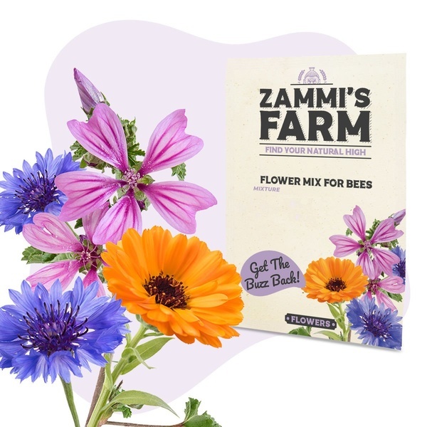 Semi di Fiori Misti per Api