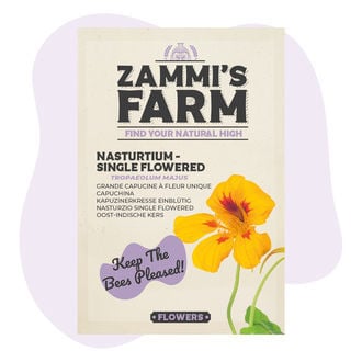 Semi di Nasturzio a Fiore Singolo (Tropaeolum majus)