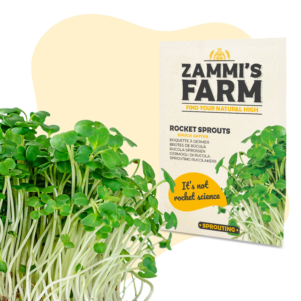 Semi Di Ravanello Per Germogli Bio - Geo, 12.7x0.7x20 Cm, Ricchi Di Nutrienti - Foto 13