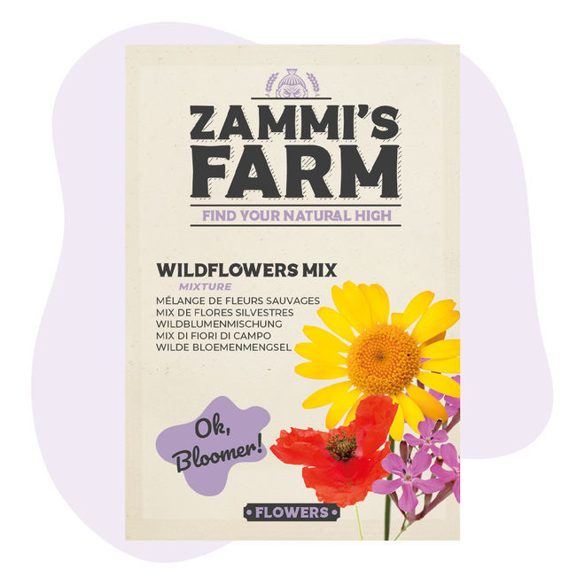 Mix semi fiori di campo - Zamnesia