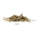 Sinicuichi (Heimia salicifolia) 20 grammi