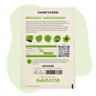 Semi di broccoli Marathon F1 (Brassica oleracea)