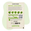 Semi di broccoli Marathon F1 (Brassica oleracea)