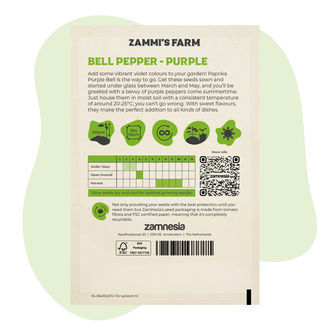 Semi di peperone viola (Capsicum annuum)