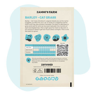 Semi di orzo comune “erba gatta” (Hordeum vulgare)