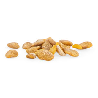 Semi di Ashwagandha (Withania somnifera)