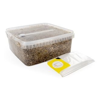 Kit di substrato sterilizzato