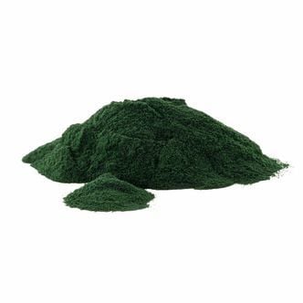 Polvere biologica di spirulina