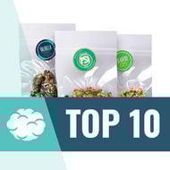 Top 10 Tartufi Allucinogeni