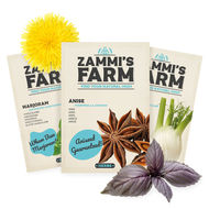 Semi di Erbe Aromatiche