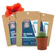 Semi di Piante Psicoattive