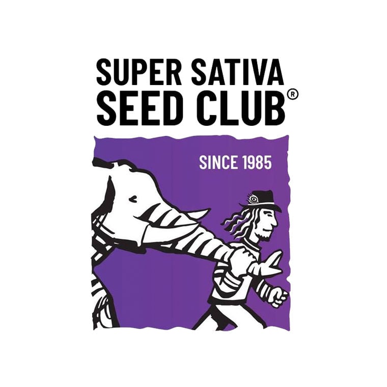 Super Sativa Seed Club