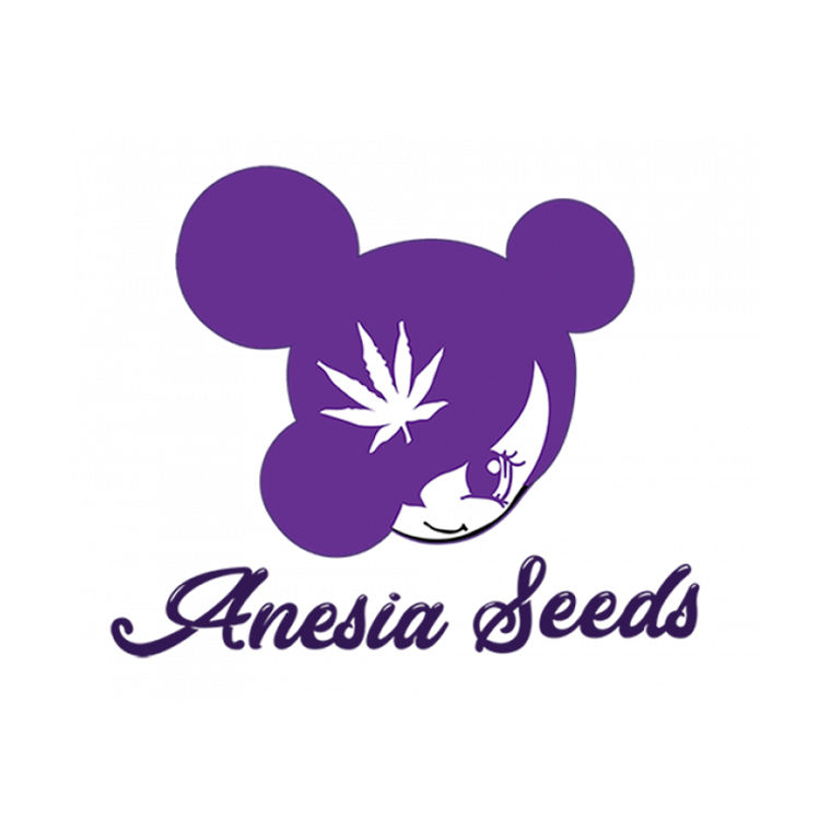 Anesia Seeds