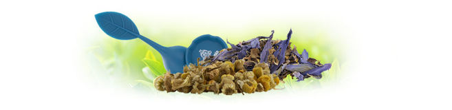 Tisane