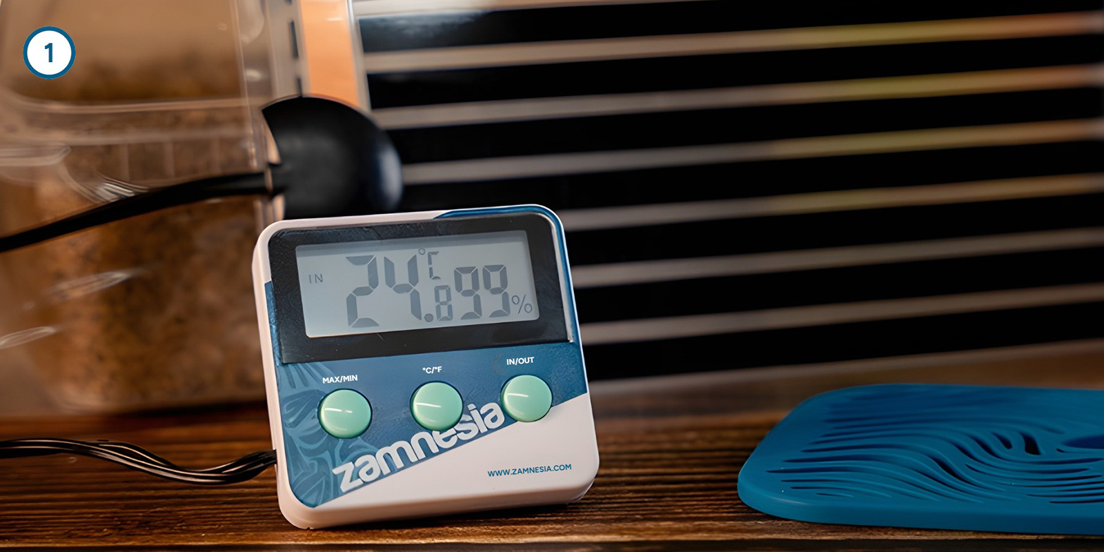 Coltivare il micelio dei funghi magici a casa