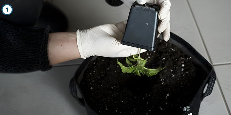 Il trasferimento vero e proprio