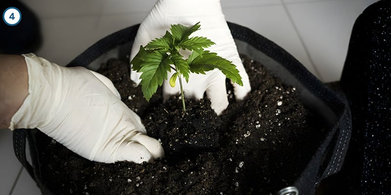 Il trasferimento vero e proprio