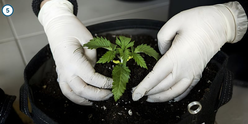 Il trasferimento vero e proprio