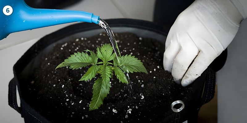 Il trasferimento vero e proprio