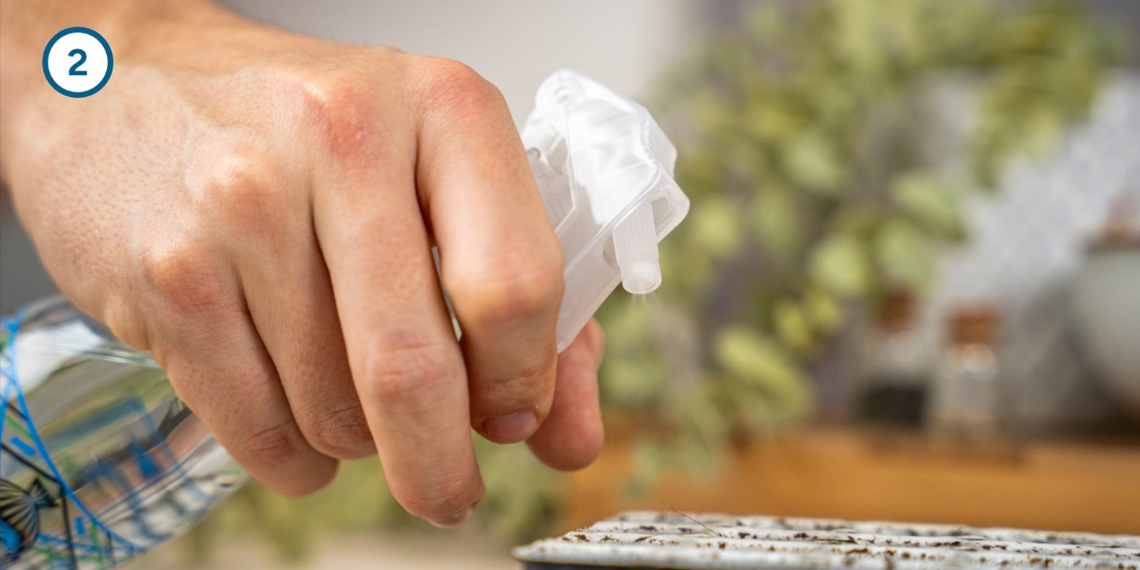 Metodo con kit di germinazione Metodo con kit di germinazione