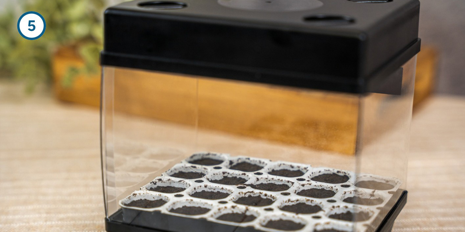 Metodo con kit di germinazione Metodo con kit di germinazione