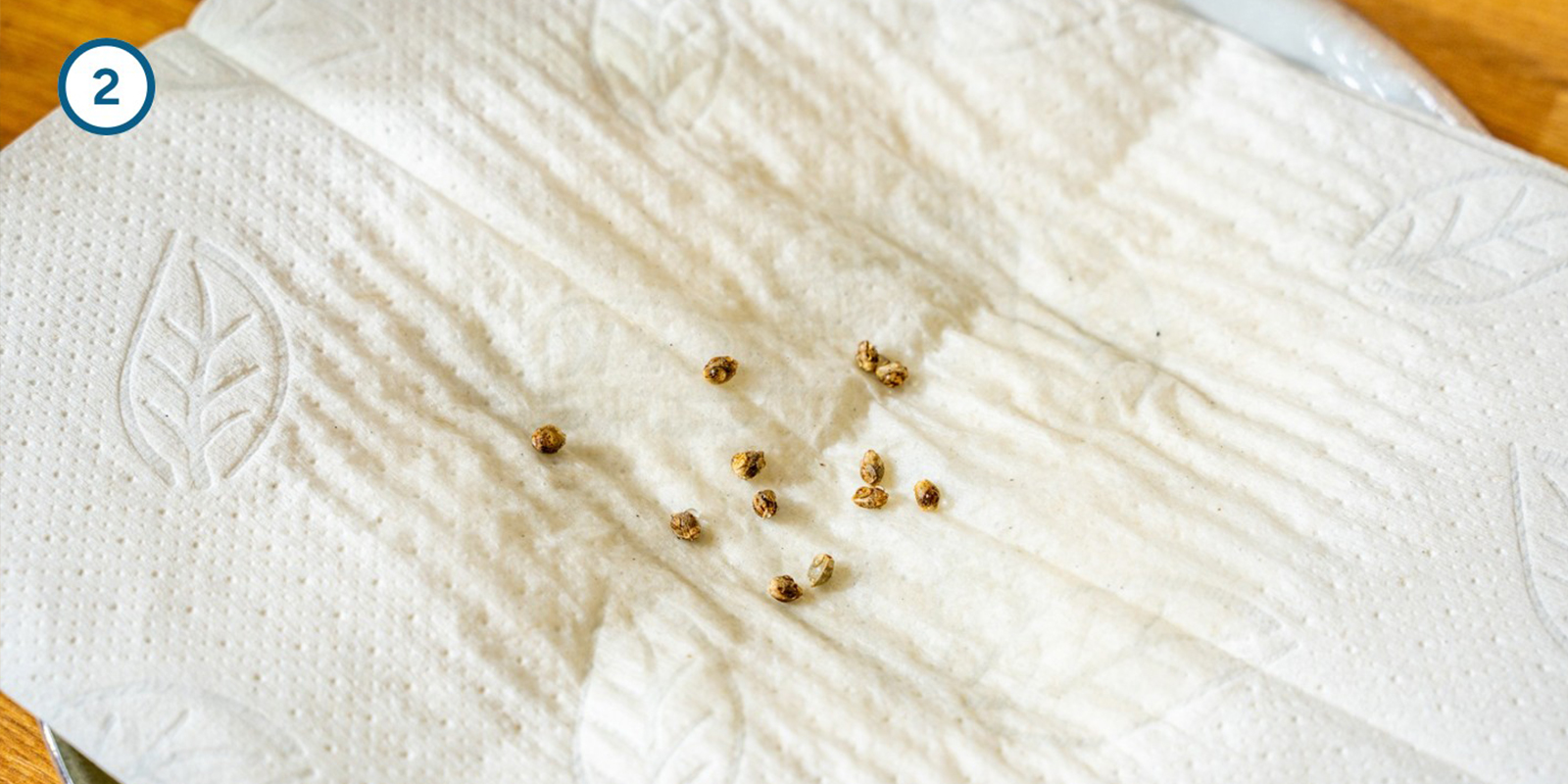 Metodo dello scottex Metodo dello scottex