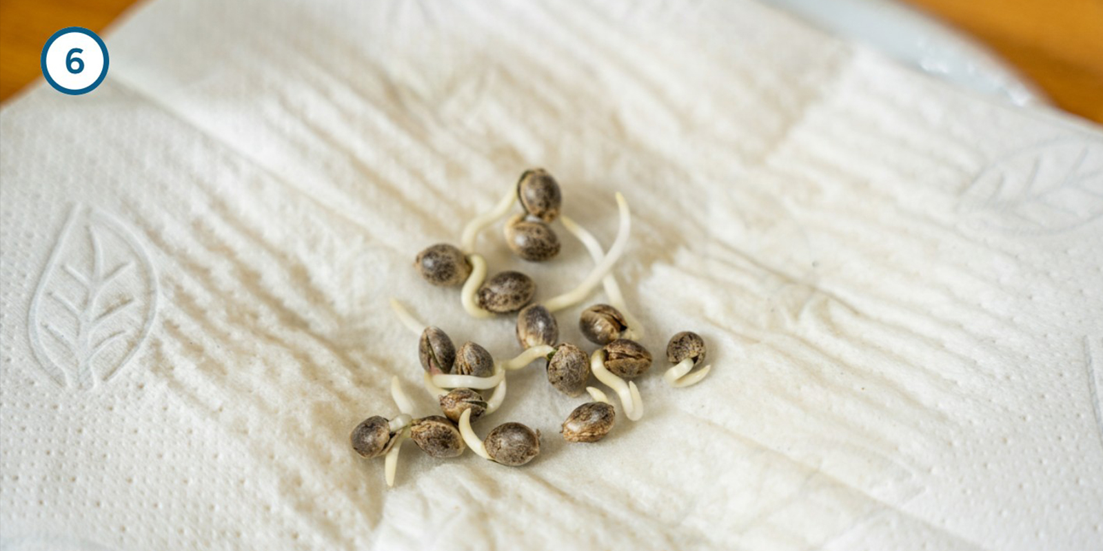 Metodo dello scottex Metodo dello scottex