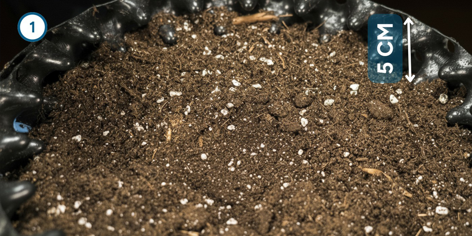 Metodo diretto nel terriccio Metodo diretto nel terriccio