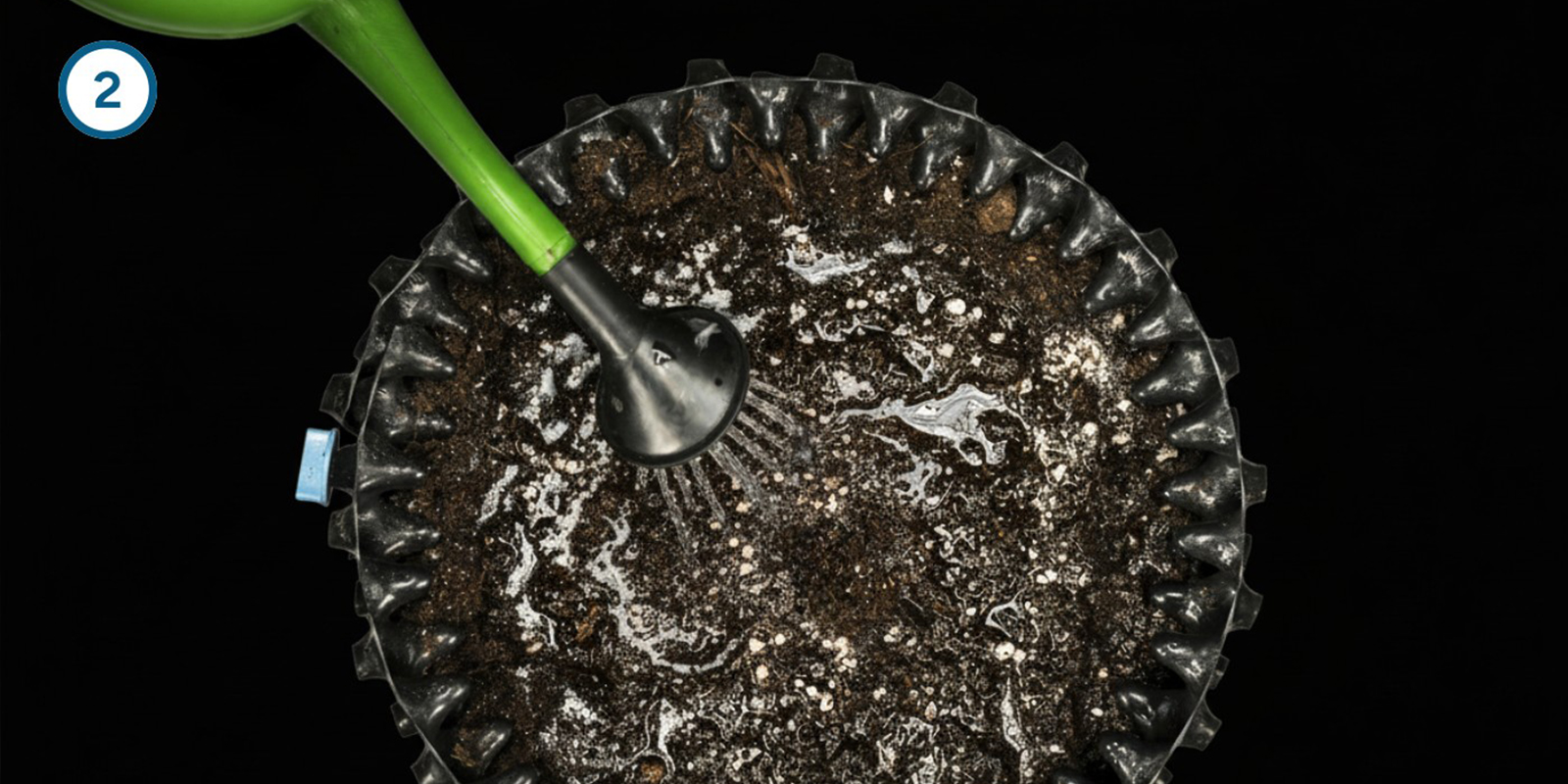 Metodo diretto nel terriccio Metodo diretto nel terriccio