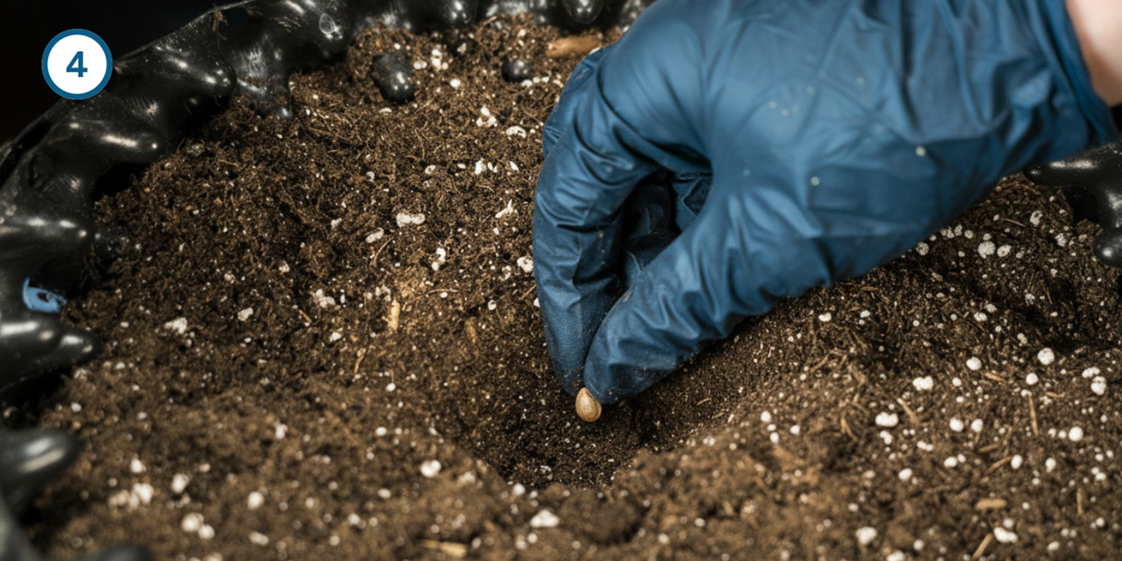 Metodo diretto nel terriccio Metodo diretto nel terriccio