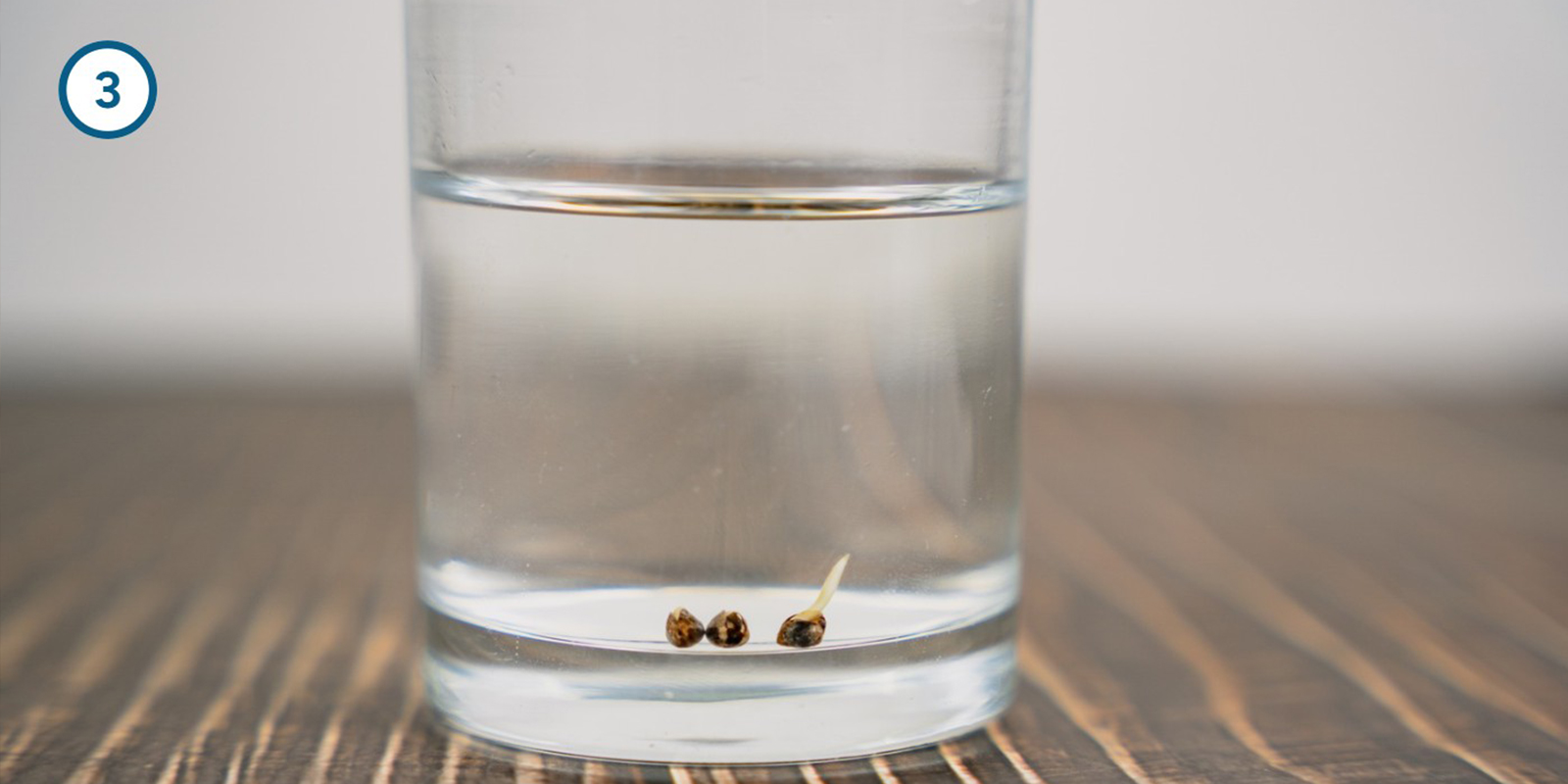 Metodo dell’ammollo in acqua Metodo dell’ammollo in acqua