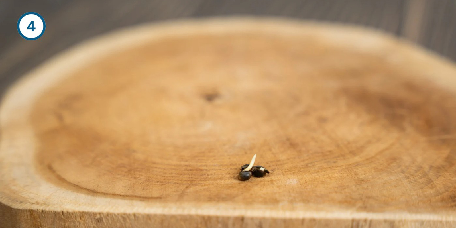 Metodo dell’ammollo in acqua Metodo dell’ammollo in acqua