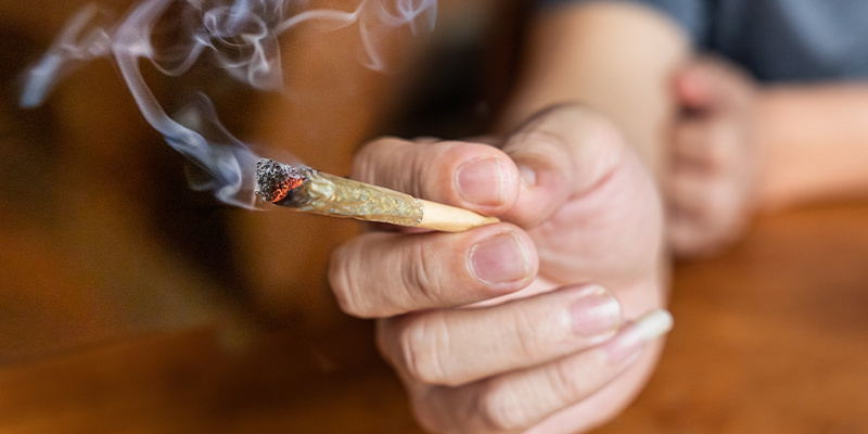 È il momento di fare chiarezza sull’erba